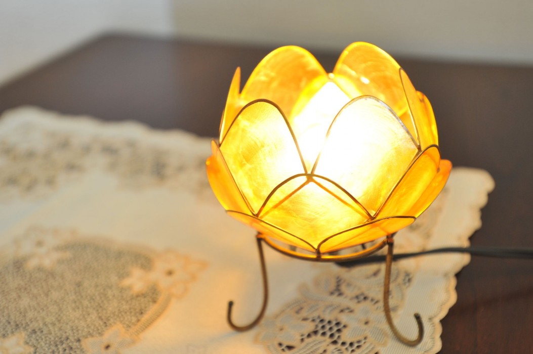 my dear ii adults only