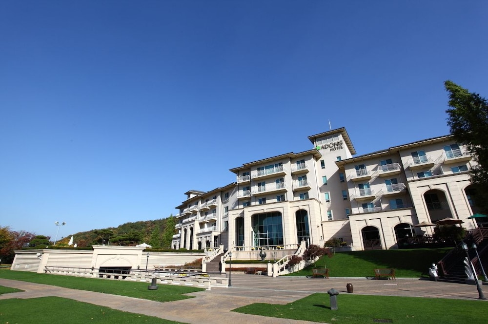 adonis hotel