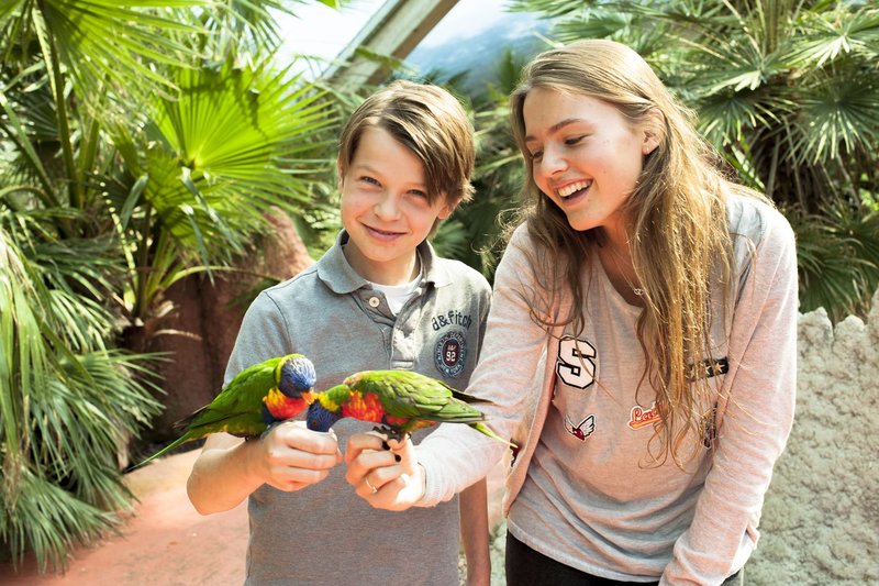van der valk avifauna