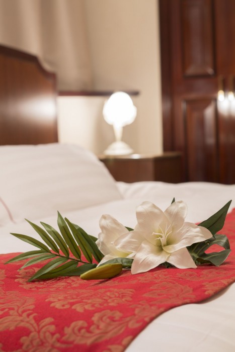 hotel alps adults only