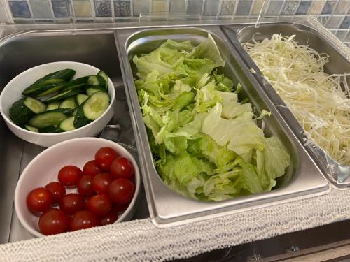 hotel alps adults only