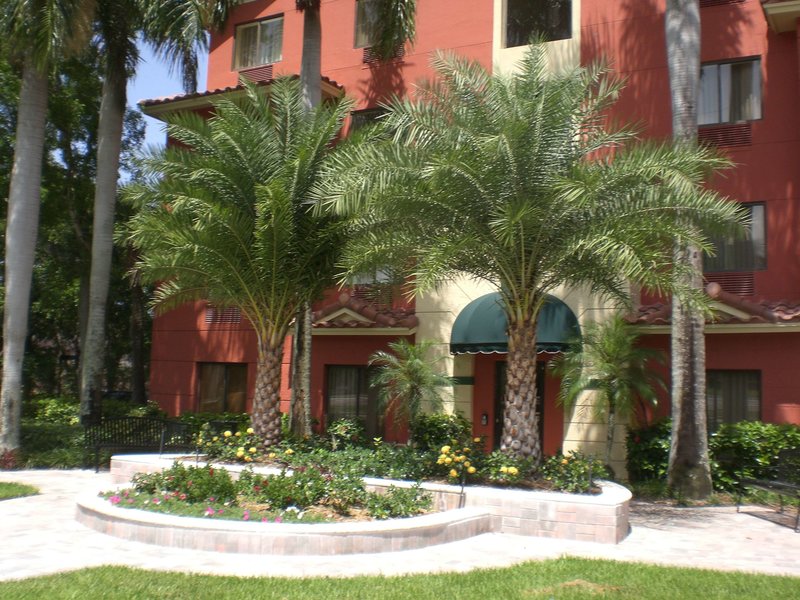 Best Western Plus Palm Beach Gardens Hotel & Suite