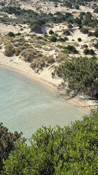 trifylia