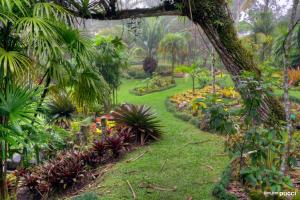 Las Cruces Biological Station,Golfito>>Agua Buena,3 star