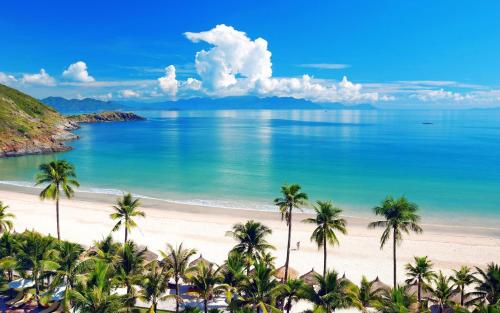 voco scenia bay nha trang by ihg