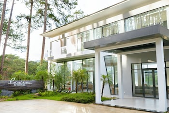 haven in the pines