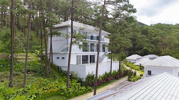 haven in the pines