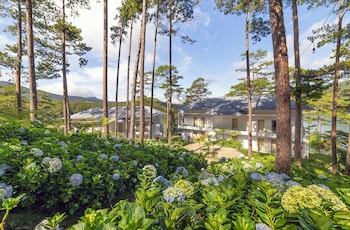 haven in the pines