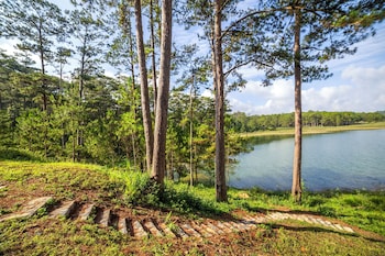 haven in the pines
