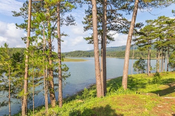 haven in the pines