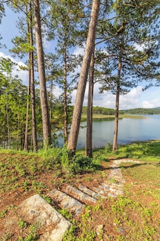 haven in the pines