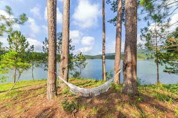 haven in the pines