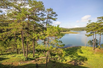 haven in the pines