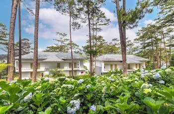 haven in the pines