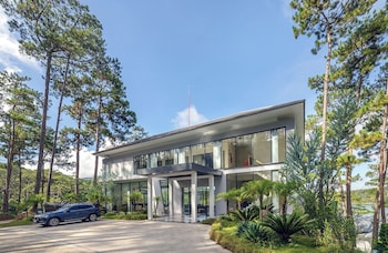 haven in the pines