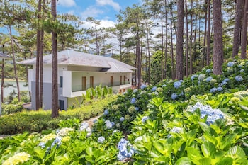 haven in the pines