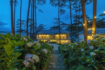 haven in the pines