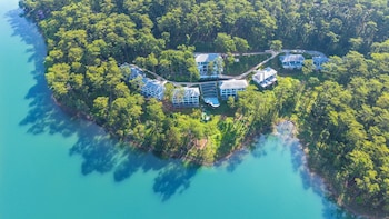 haven in the pines