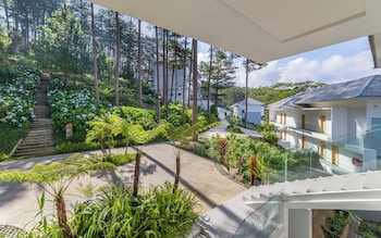 haven in the pines