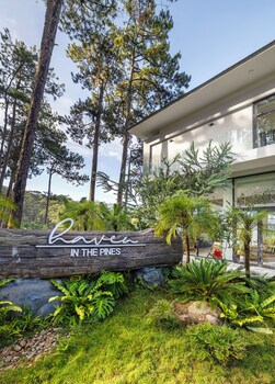 haven in the pines