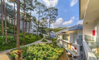 haven in the pines