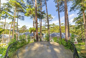 haven in the pines