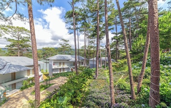 haven in the pines