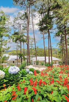 haven in the pines