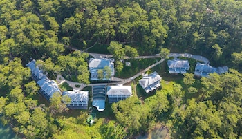 haven in the pines