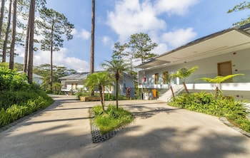haven in the pines