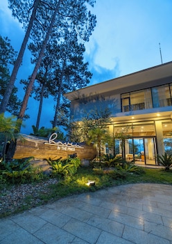 haven in the pines