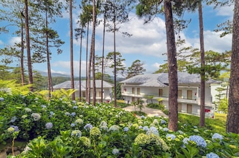 haven in the pines