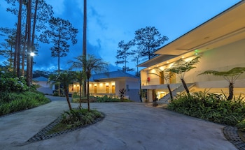 haven in the pines