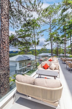 haven in the pines