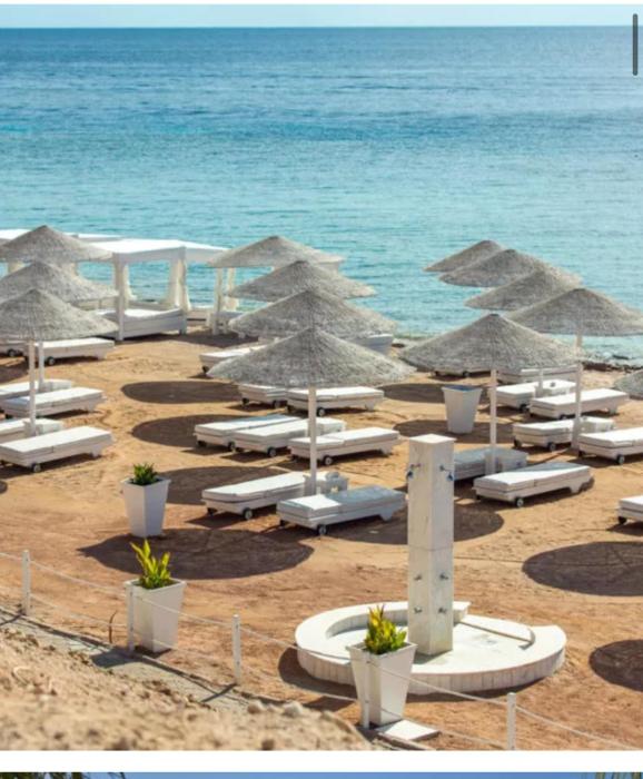 domina coral bay resort