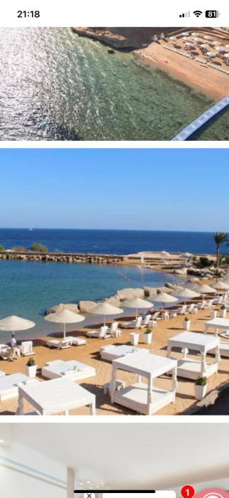 domina coral bay resort