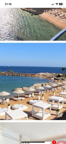 domina coral bay resort