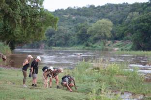 taj bush lodge