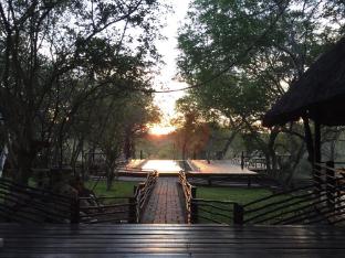taj bush lodge