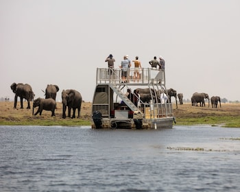 taj bush lodge