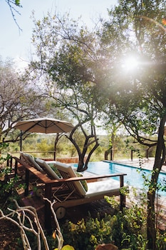 taj bush lodge