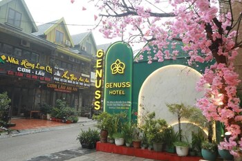 genuss tam dao