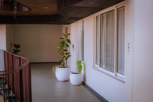 31 park hotel