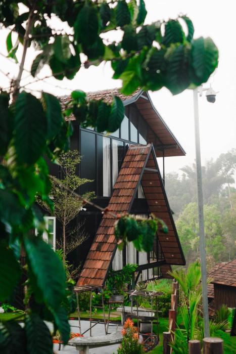 wood panda luxury resort wayanad