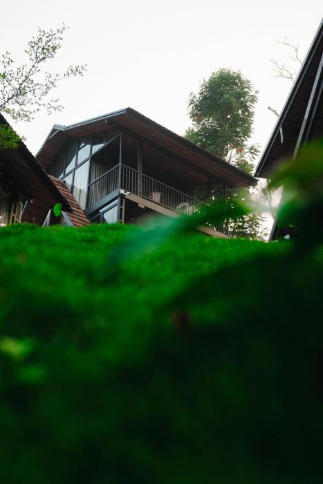 wood panda luxury resort wayanad