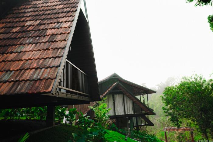wood panda luxury resort wayanad