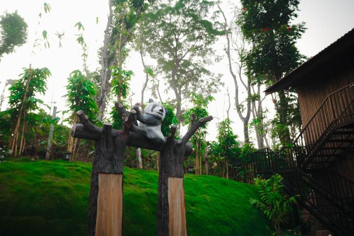 wood panda luxury resort wayanad