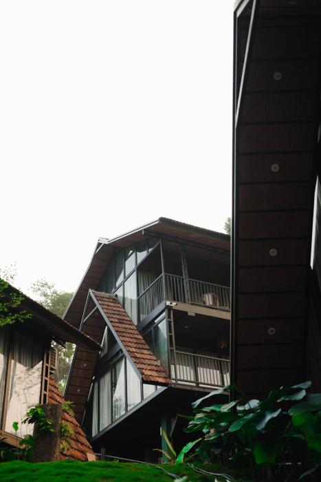 wood panda luxury resort wayanad