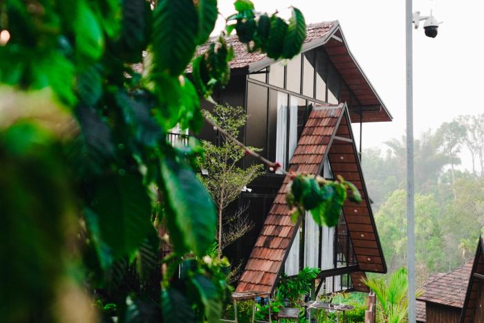 wood panda luxury resort wayanad