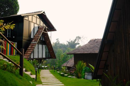 wood panda luxury resort wayanad